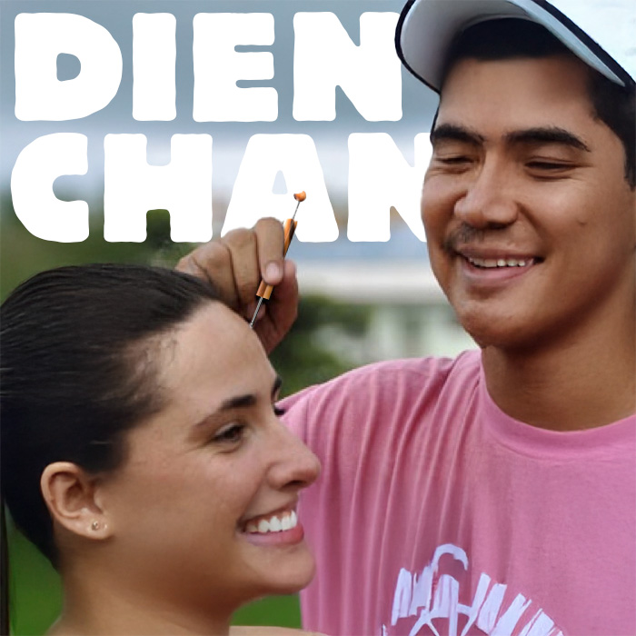 Learn Dien Chan